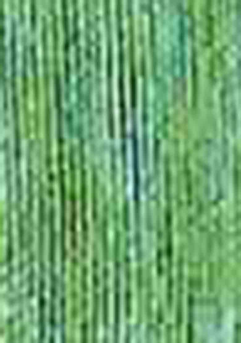 Green Zari Woven Jacquard Saree Set