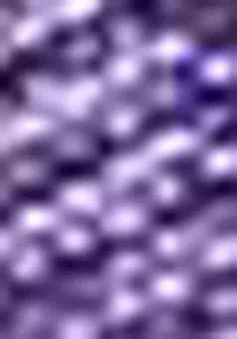 Lavender Zari Woven Jacquard Saree Set