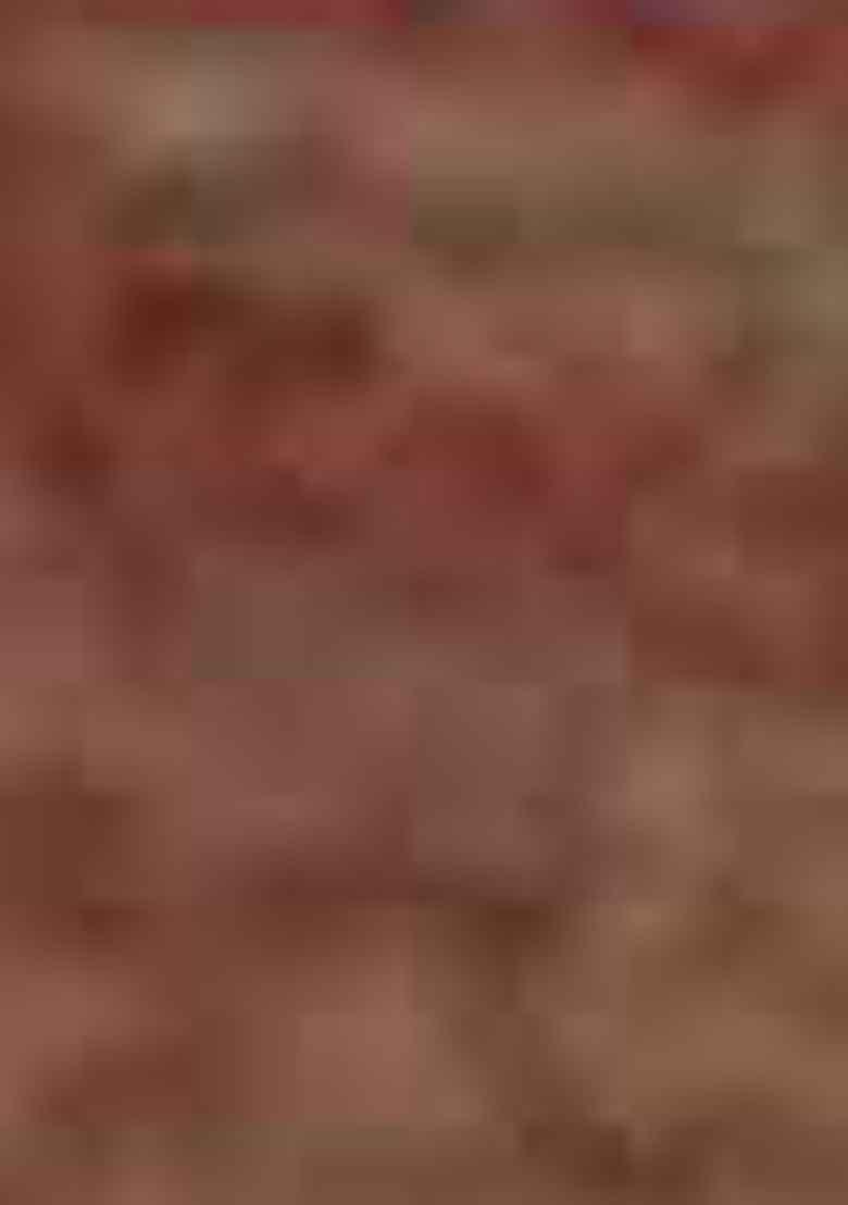 Rust Zari Woven Jacquard Saree Set