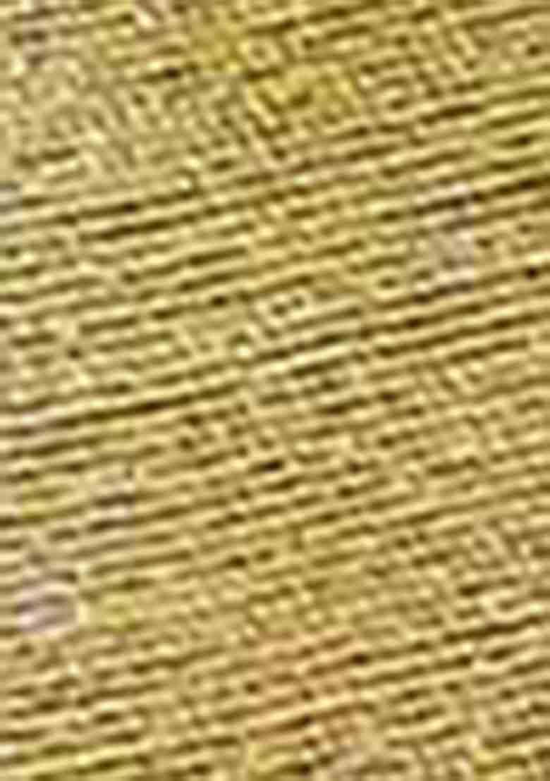 Green Zari Woven Jacquard Saree Set