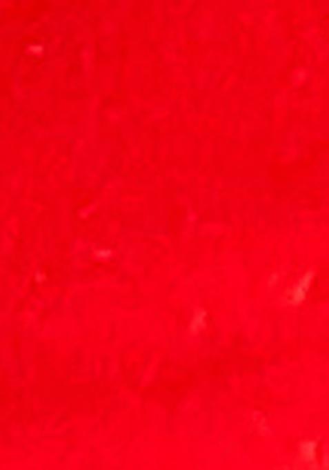 Red Zari Woven Silk Saree Set