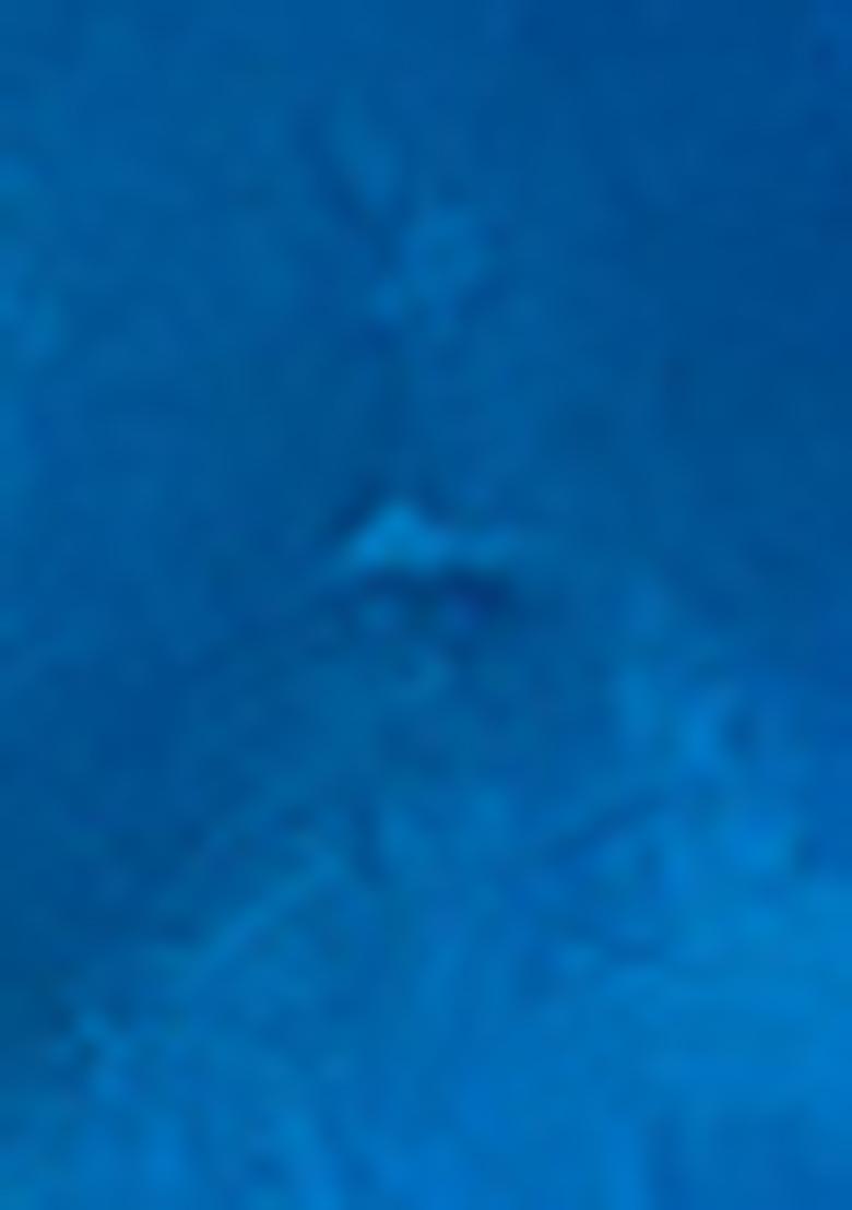 Blue Zari Woven Silk Saree Set