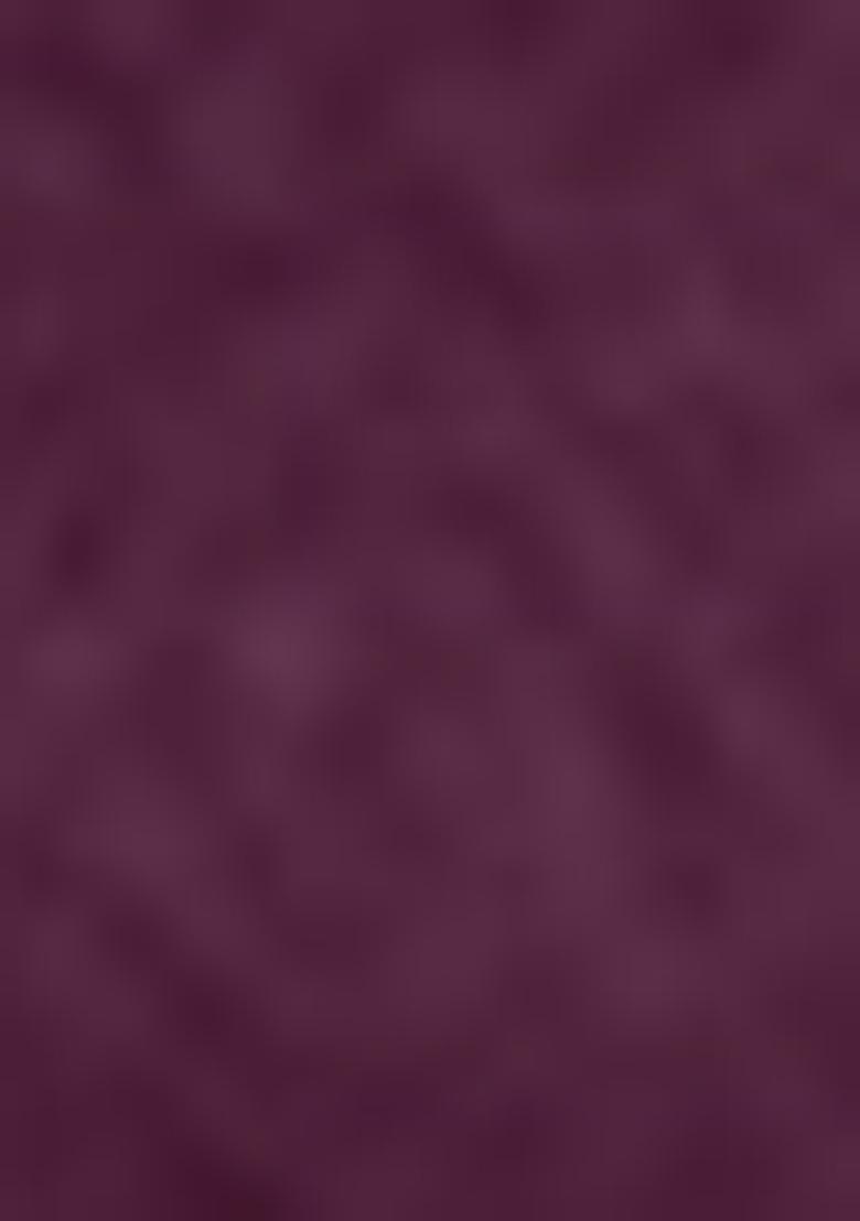 Wine Zari Woven Art Silk Saree Set