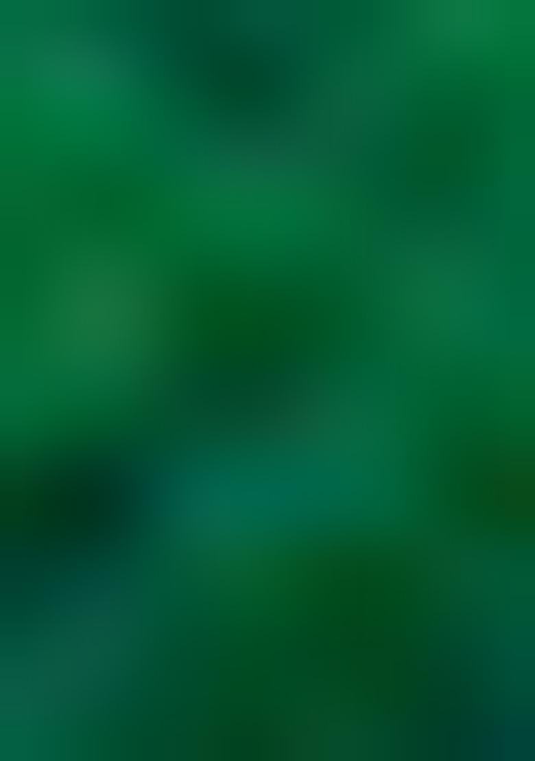 Sea Green Zari Woven Art Silk Saree Set