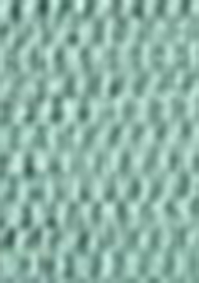 Sea Green Embroidered Net Saree Set