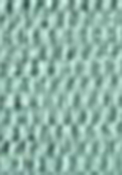 Sea Green Embroidered Net Saree Set