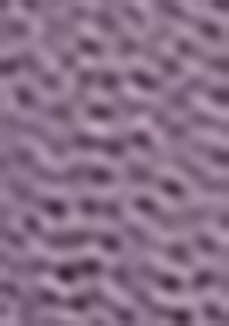 Purple Embroidered Net Saree Set - Indya
