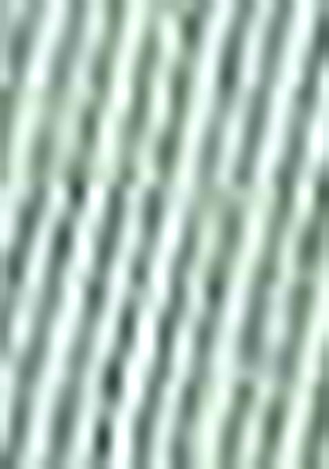 Sea Green Sequin Work Tissue Saree Set