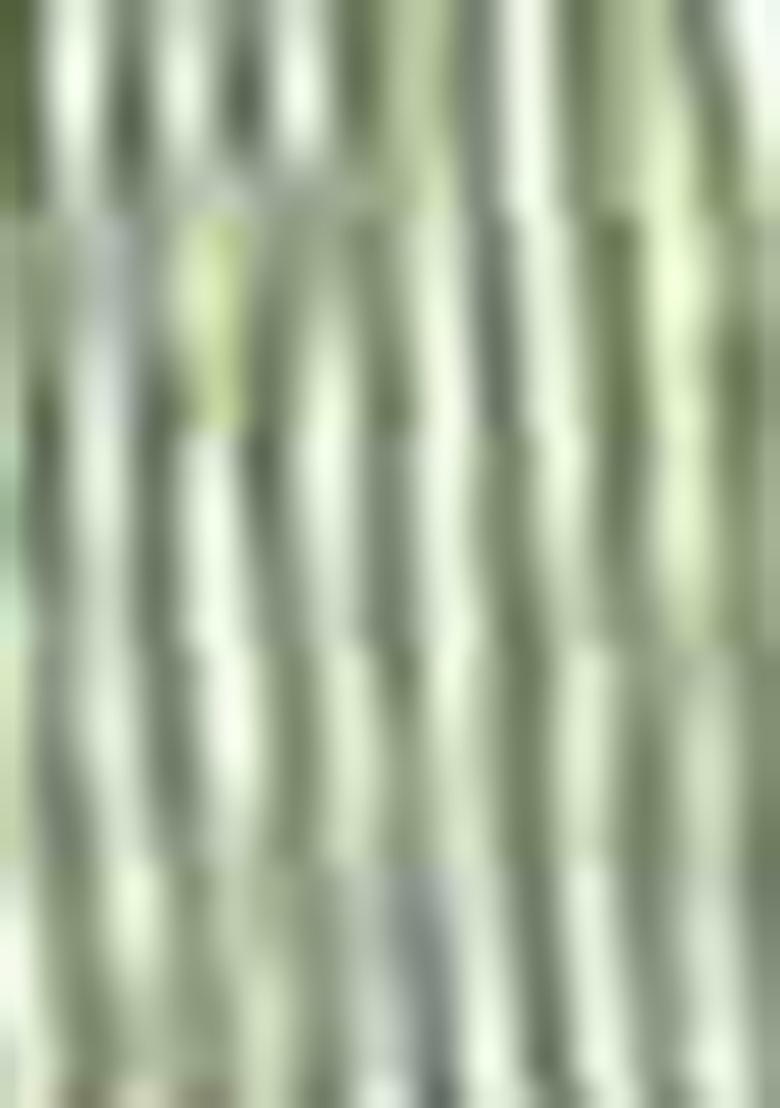 Green Sequin Work Tissue Saree Set