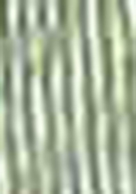 Green Sequin Work Tissue Saree Set