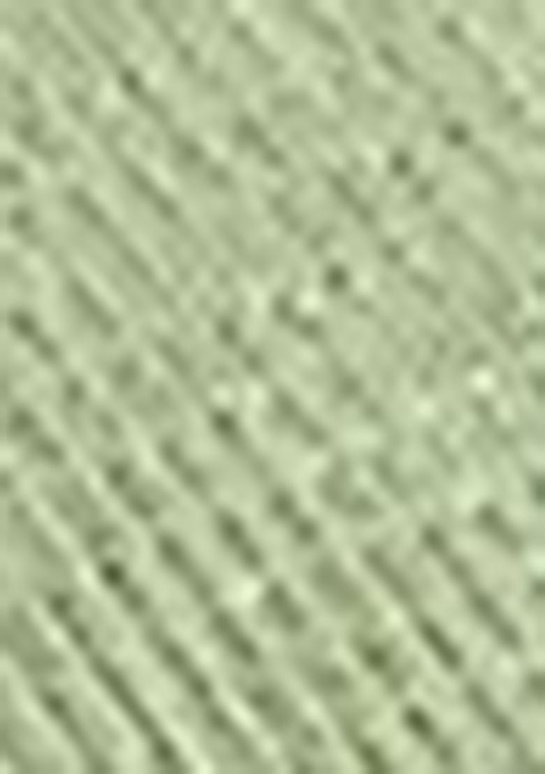 Green Sequin Work Tissue Saree Set