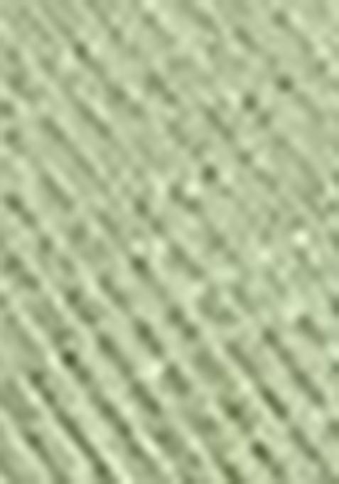 Green Sequin Work Tissue Saree Set