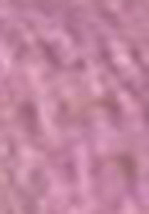 Purple Sequin Work Tissue Saree Set