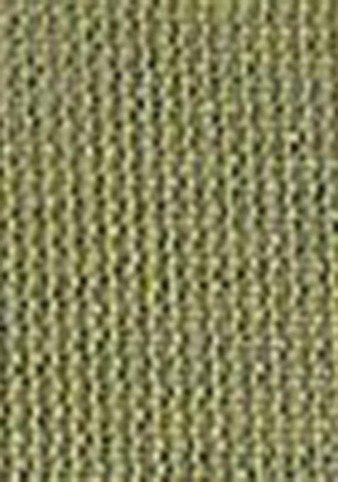 Green Sequin Work Tissue Saree Set