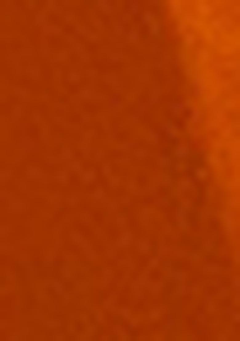 Orange Zari Woven Tissue Saree Set