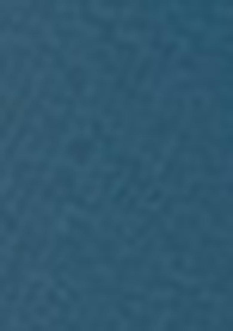 Blue Zari Woven Tissue Saree Set