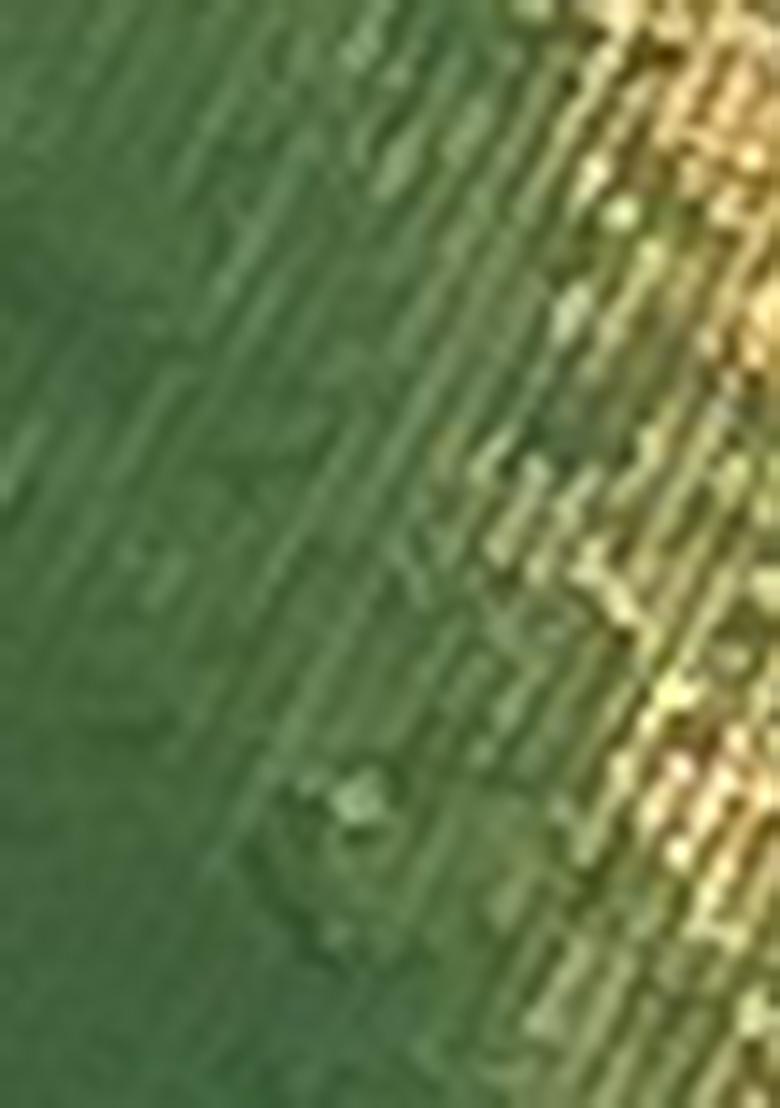 Green Zari Woven Tissue Saree Set