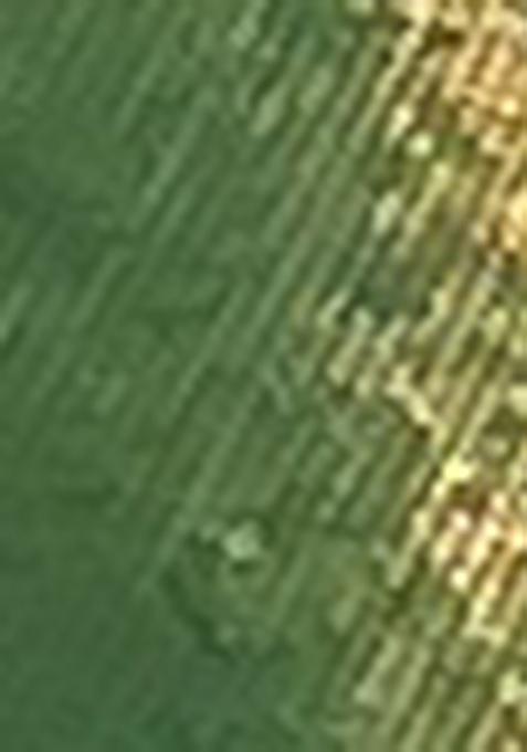 Green Zari Woven Tissue Saree Set