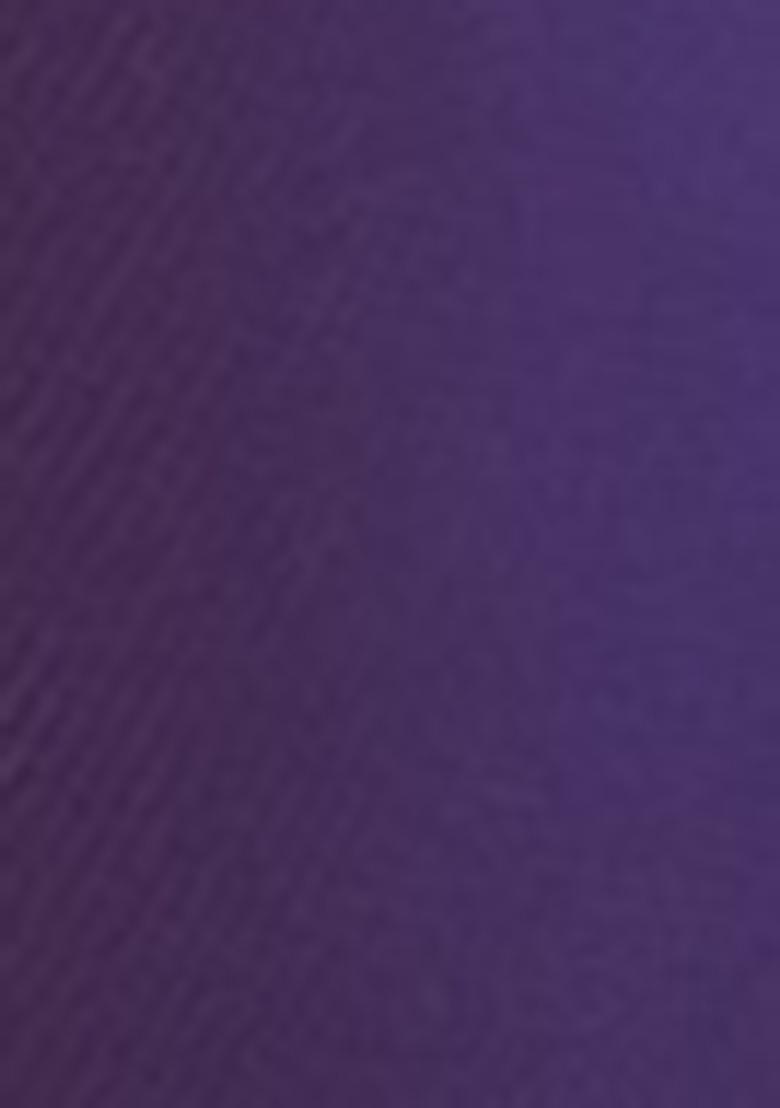 Lavender Zari Woven Tissue Saree Set