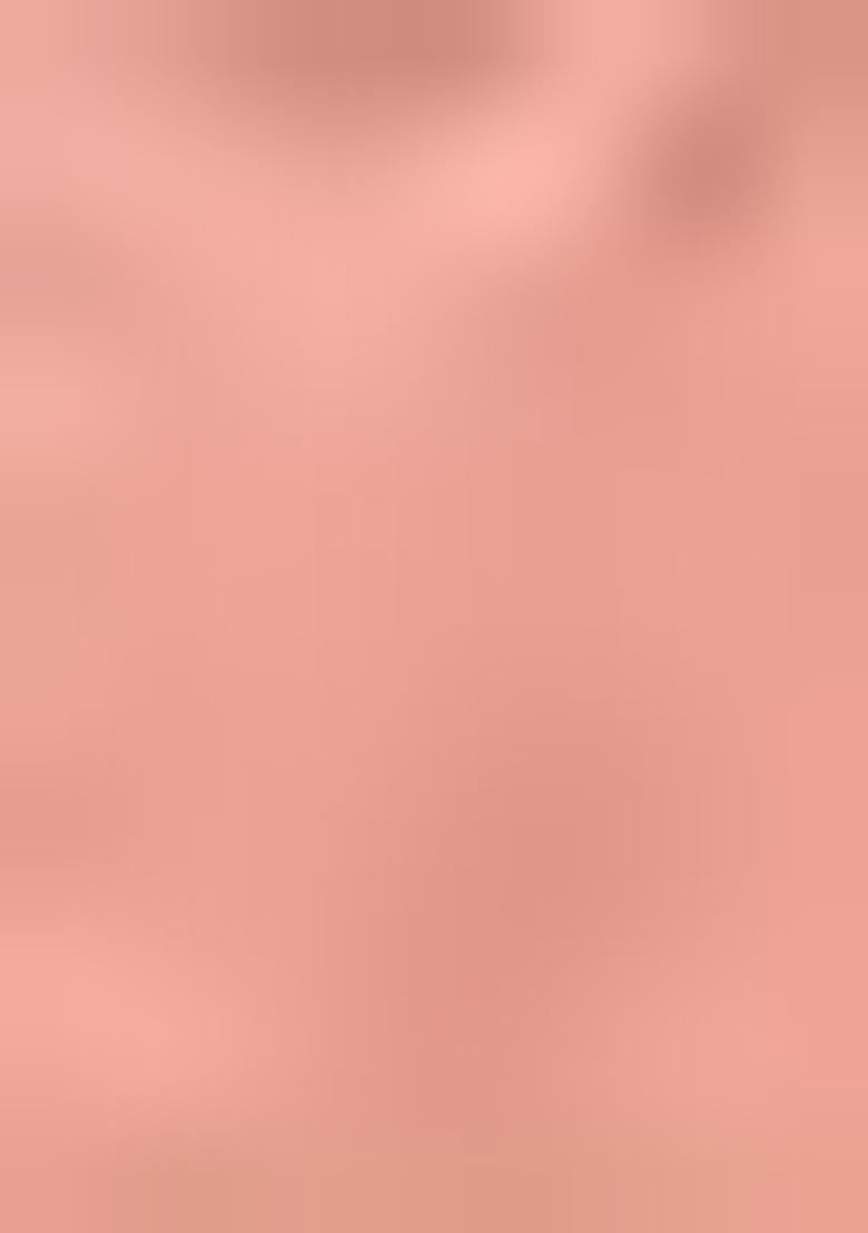 Peach Sequin Work Organza Saree Set