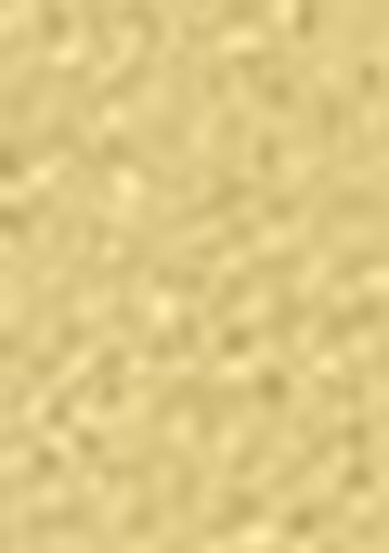 Yellow Sequin Work Organza Saree Set