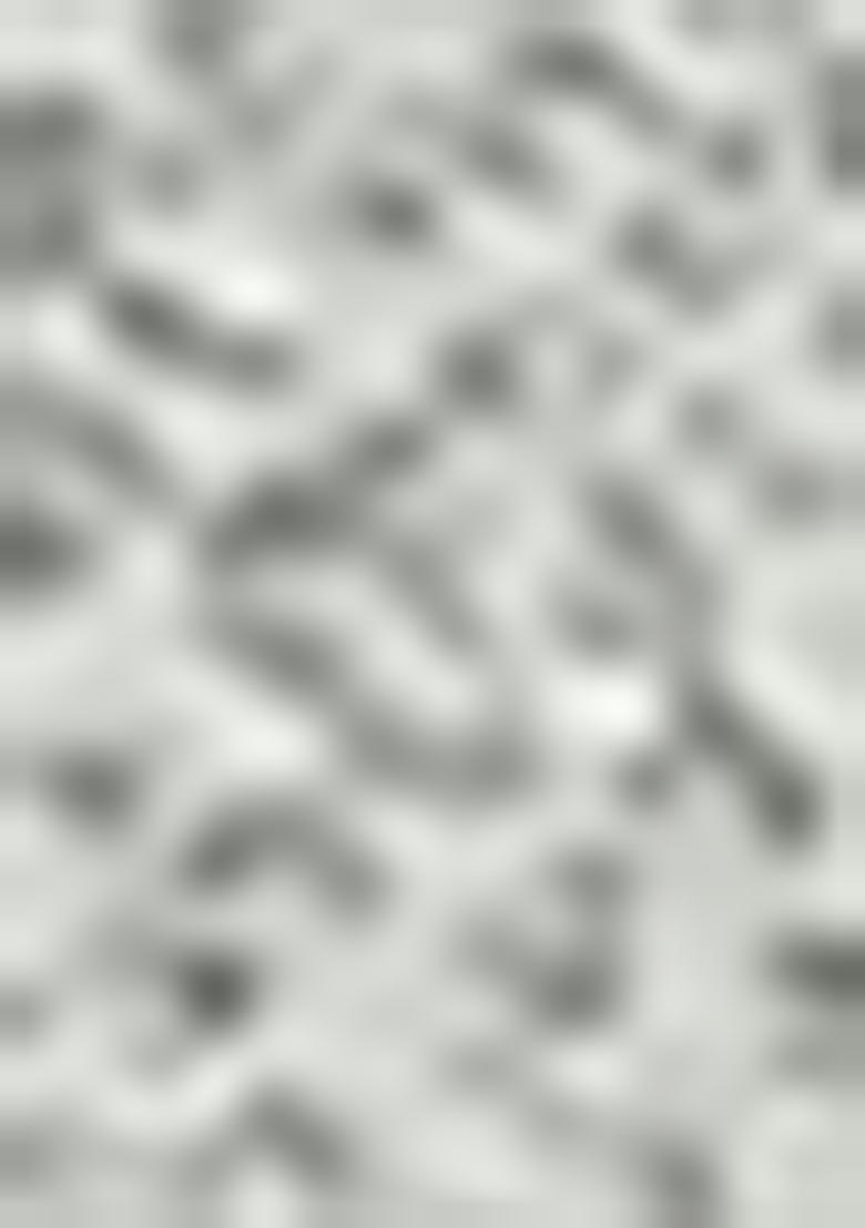 Sea Green Sequin Work Organza Saree Set