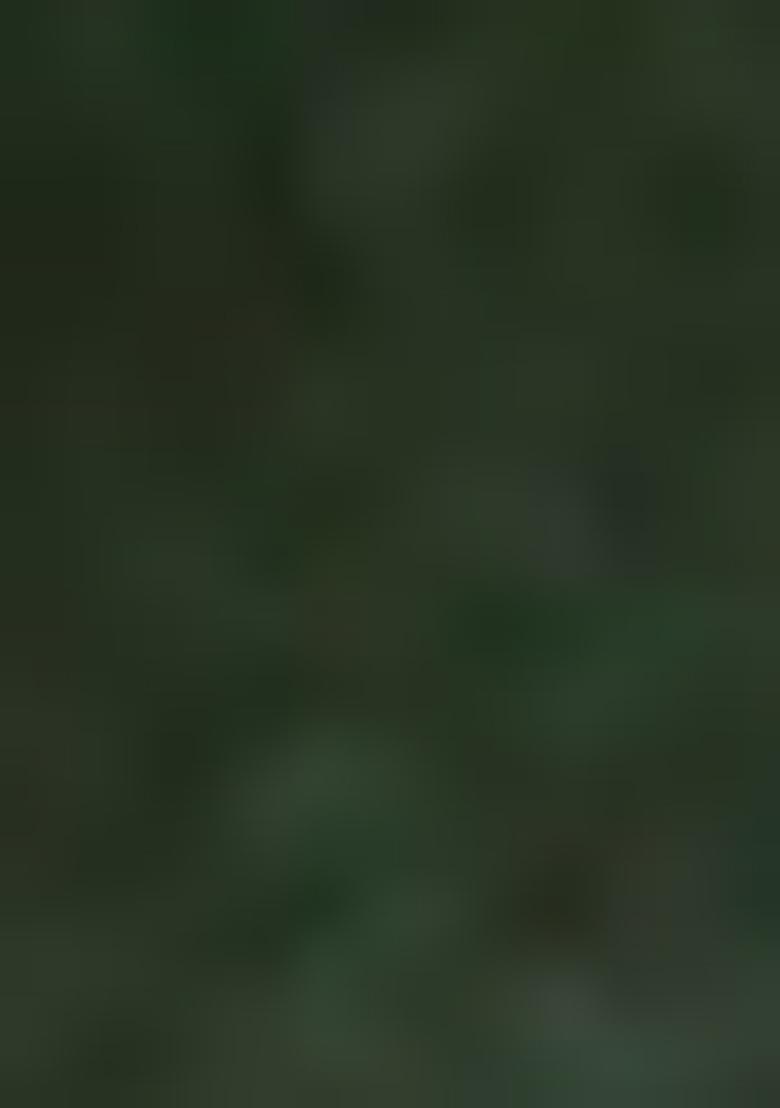 Green Abstract Print Cotton Saree Set