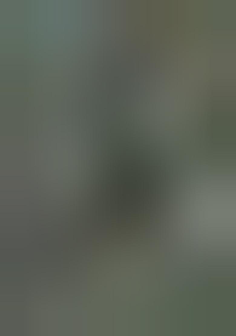 Green Abstract Print Cotton Saree Set