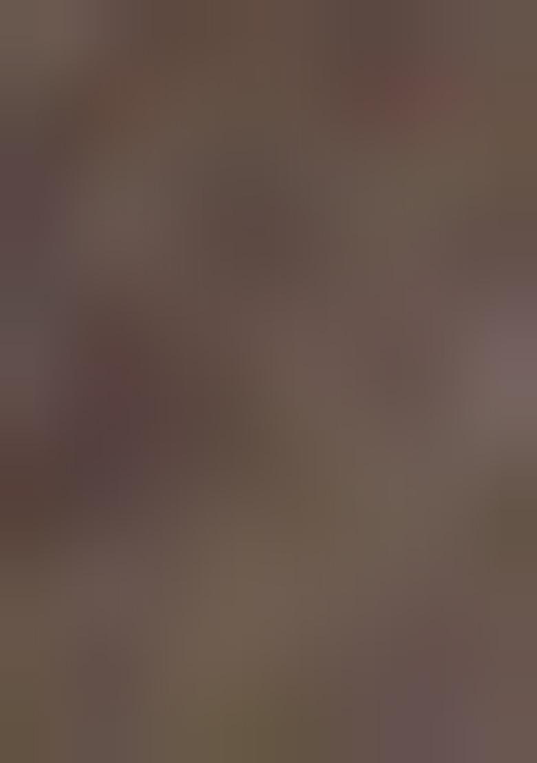 Brown Abstract Print Cotton Saree Set