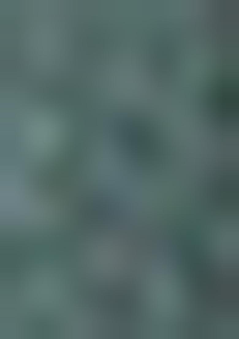 Green Abstract Print Cotton Saree Set