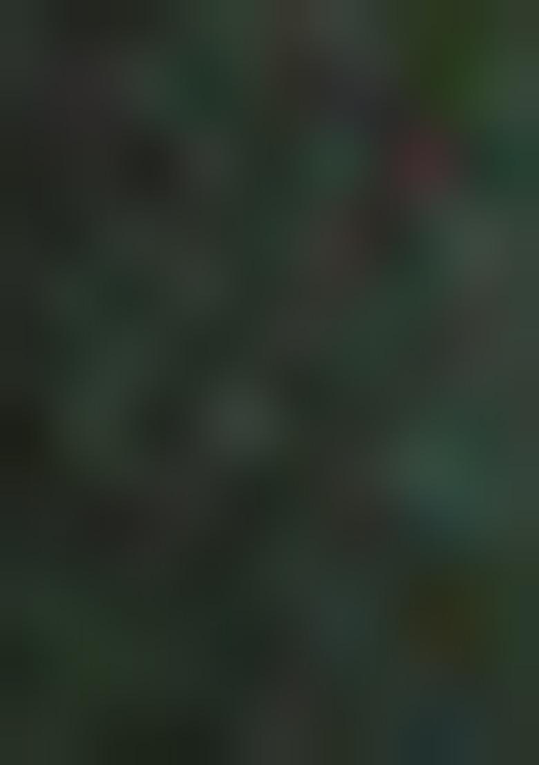 Green Abstract Print Cotton Saree Set