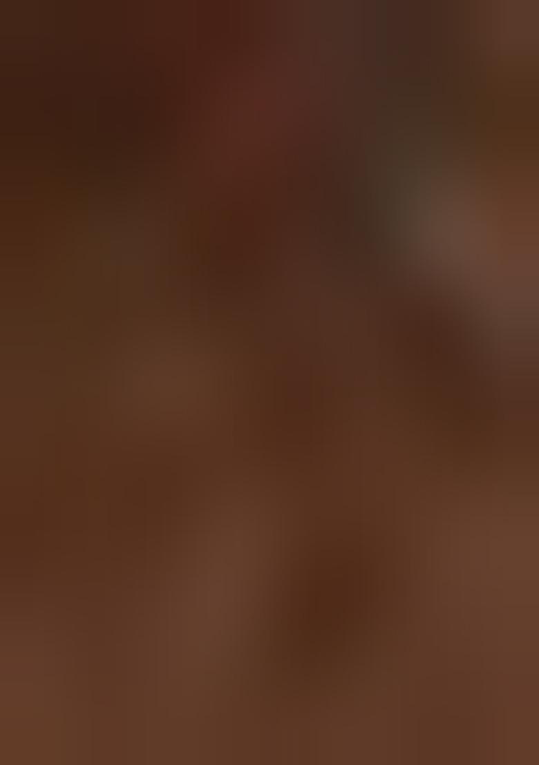 Brown Abstract Print Cotton Saree Set