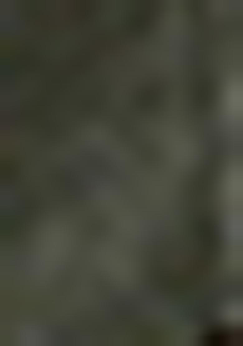 Green Abstract Print Cotton Saree Set