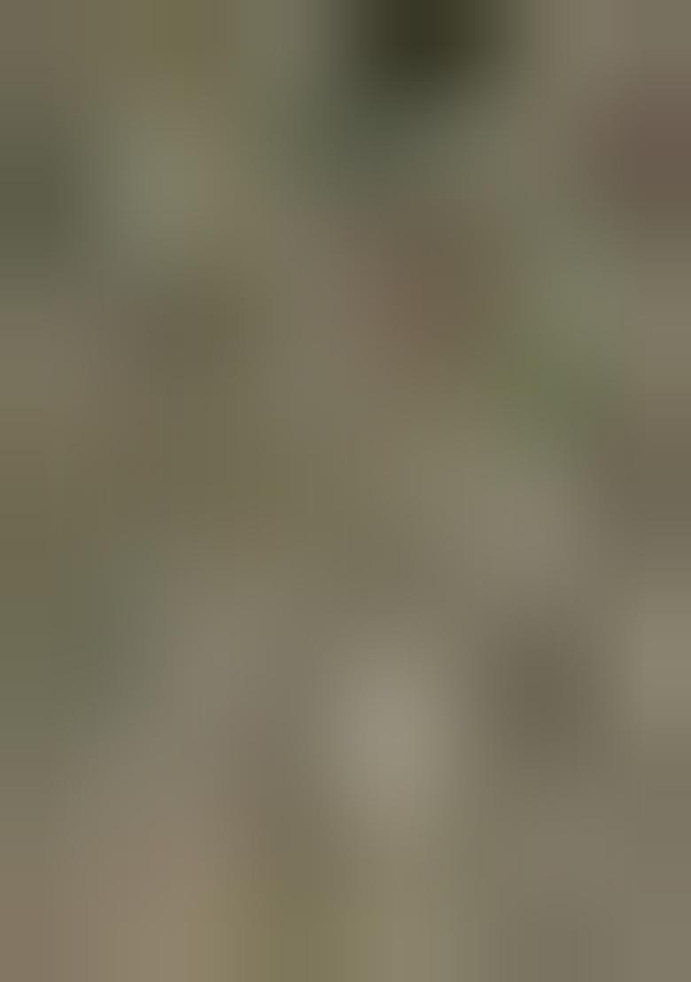 Green Abstract Print Cotton Saree Set