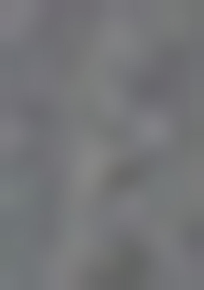 Blue Abstract Print Cotton Saree Set