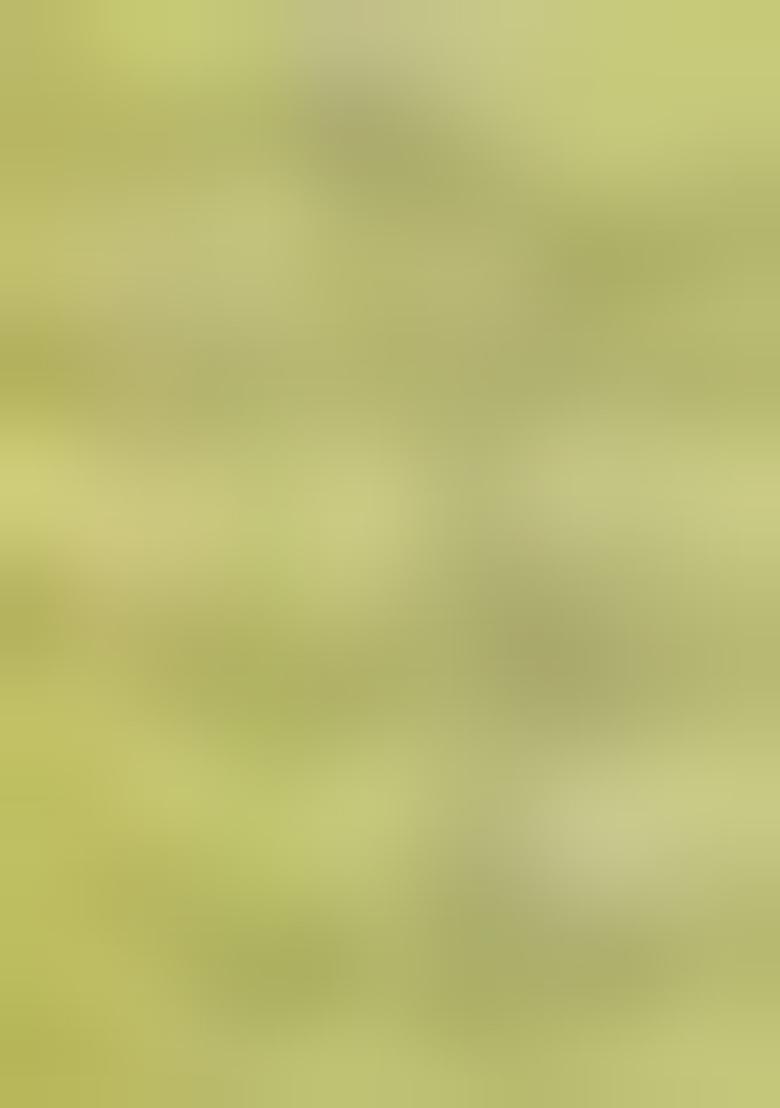 Green Abstract Print Poly Blend Saree Set