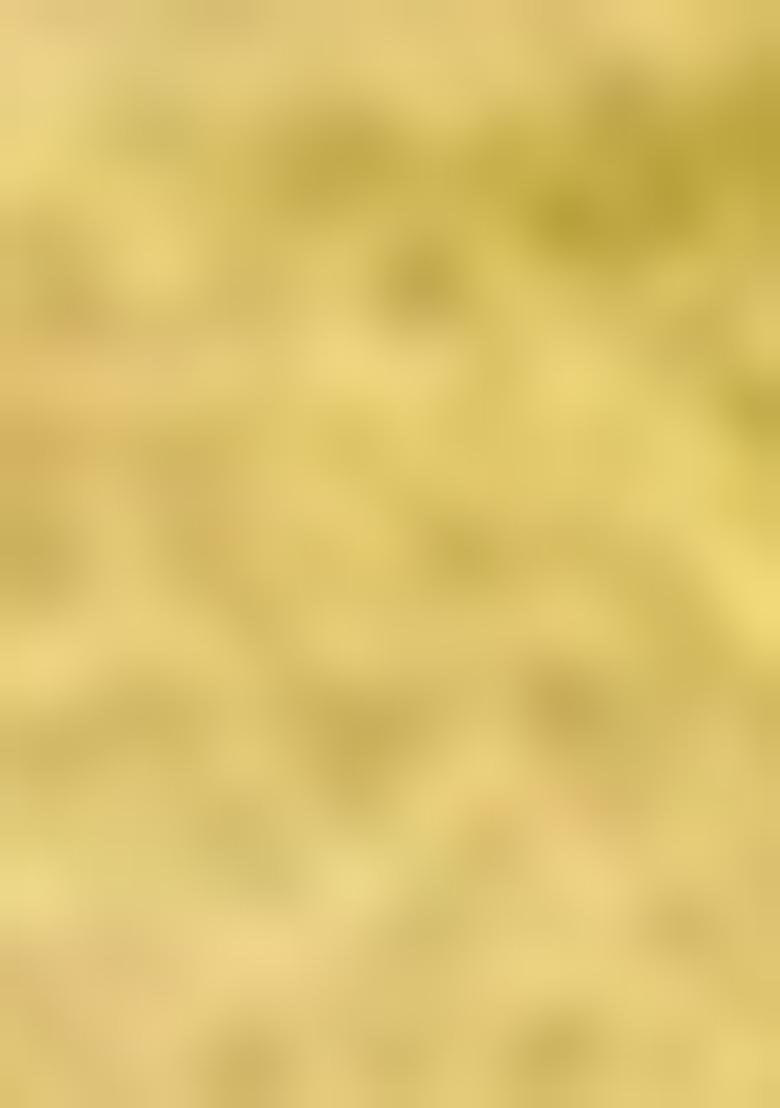 Yellow Abstract Print Poly Blend Saree Set