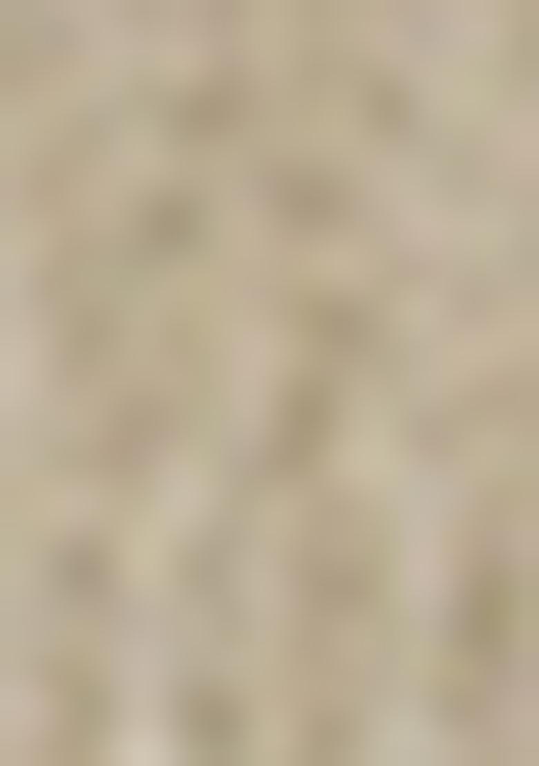 Beige Abstract Print Poly Blend Saree Set