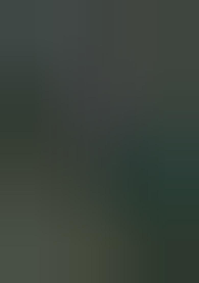 Green Zari Woven Organza Saree Set