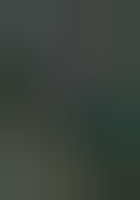 Green Zari Woven Organza Saree Set