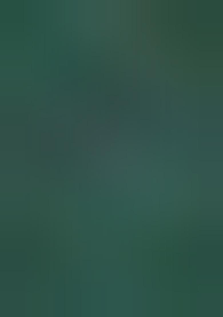 Green Zari Woven Organza Saree Set