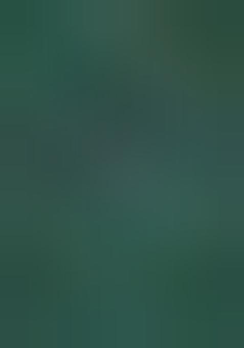 Green Zari Woven Organza Saree Set