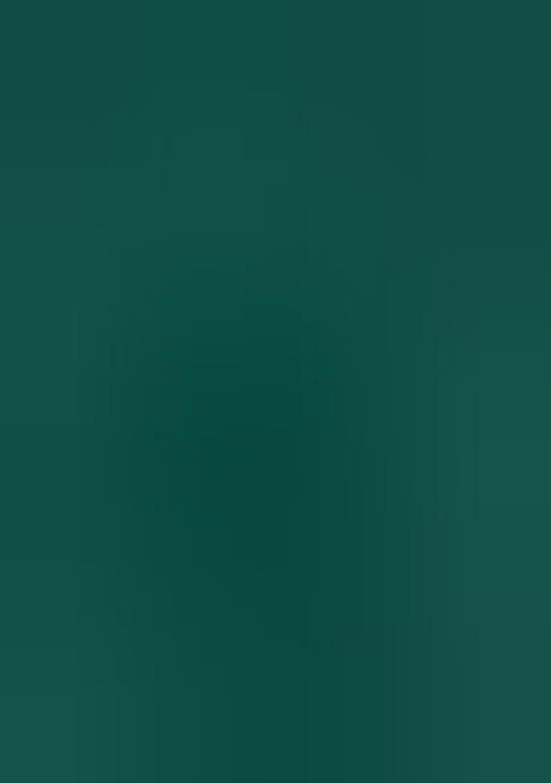 Sea Green Abstract Print Silk Saree Set