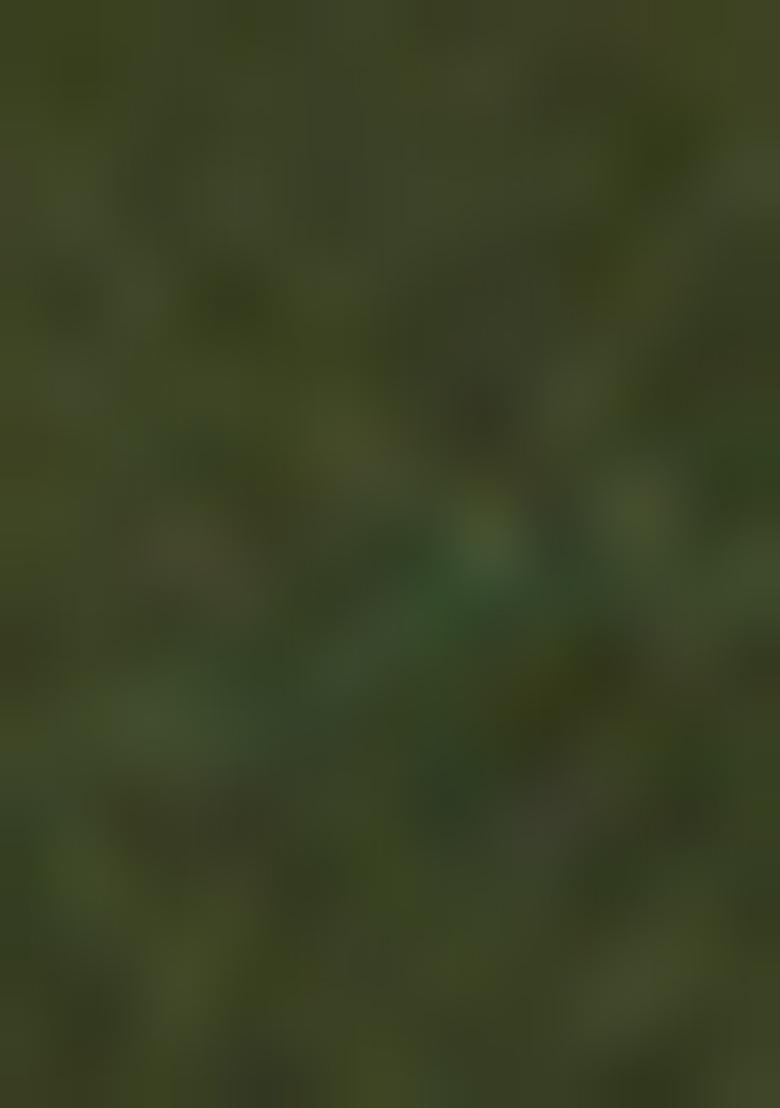 Green Abstract Print Net Saree Set