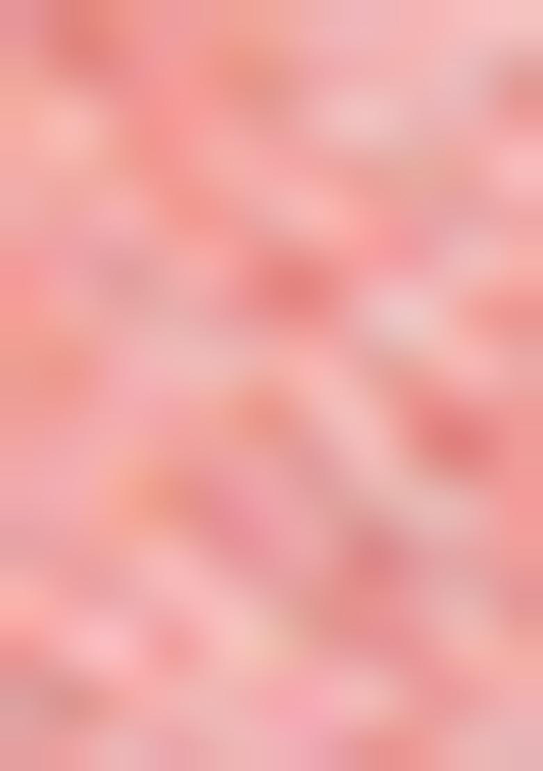 Peach Embroidered Net Saree Set