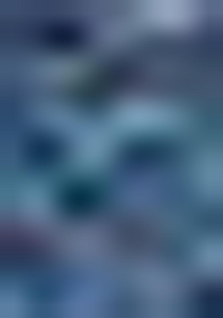 Blue Zari Woven Organza Saree Set