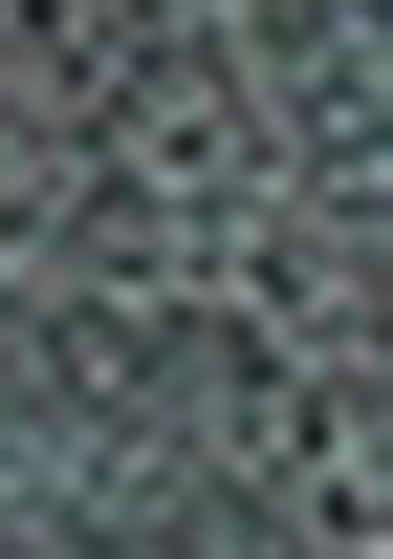 Green Zari Woven Organza Saree Set