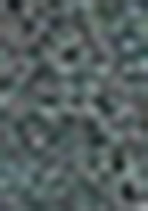 Green Zari Woven Organza Saree Set