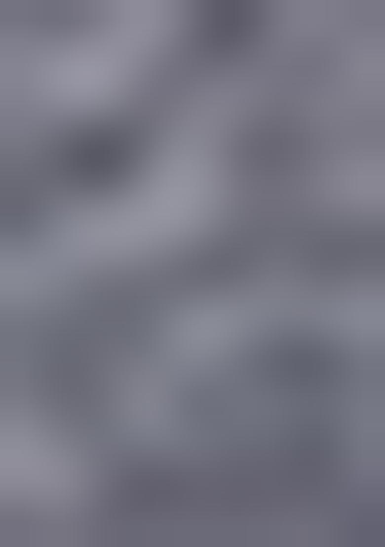 Grey Zari Woven Organza Saree Set