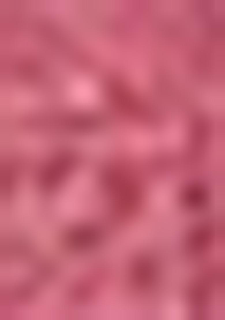 Wine Zari Woven Organza Saree Set